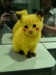 cute pikachu cat